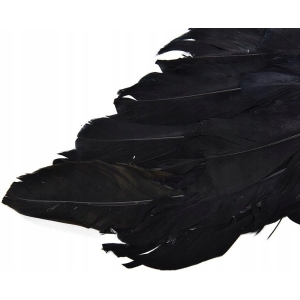 Aripi de inger, 60X40 cm, Gonga® - Image 3