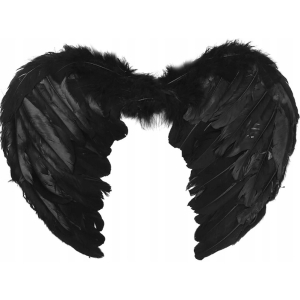 Aripi de inger, 60X40 cm, Gonga®