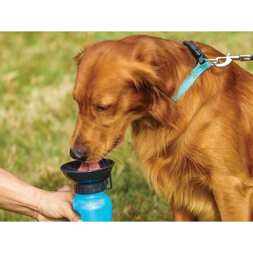 Sticla portabila cu castron pentru catei, 0.5 L,Gonga® - Image 2